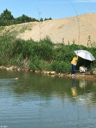 惠州菜园钓鱼怎么样，惠州菜园钓鱼怎么样呀？-第1张图片-平阳县乌魄百货商行