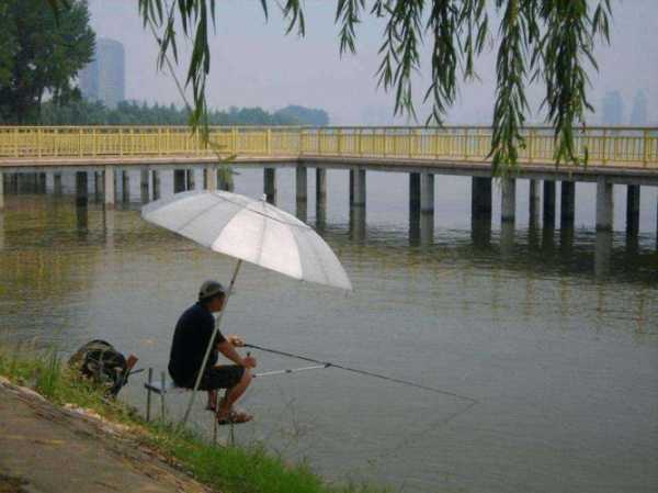 秋雨初晴钓鱼怎么样，初秋雨后怎么钓鱼-第1张图片-平阳县乌魄百货商行