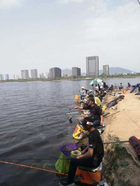 莲花小厂钓鱼怎么样，莲花小厂钓鱼怎么样好钓吗？-第1张图片-平阳县乌魄百货商行