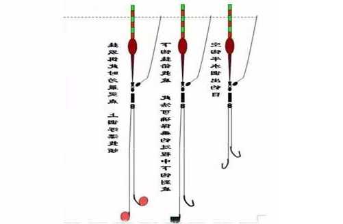 钓鱼怎么样才能双飞，双钓怎么调漂-第3张图片-平阳县乌魄百货商行