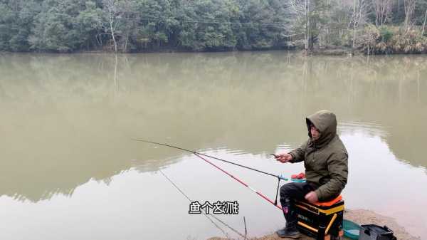 河冠钓鱼怎么样，河冠钓鱼怎么样好钓吗？-第1张图片-平阳县乌魄百货商行