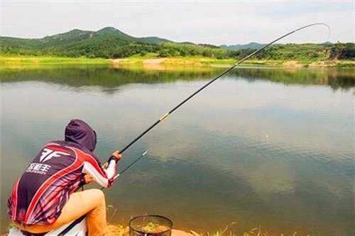 夏季早晨钓鱼怎么样？夏季早晨钓鱼怎么样好钓？-第2张图片-平阳县乌魄百货商行