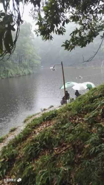 珠海大雨钓鱼怎么样，珠海雨天！-第2张图片-平阳县乌魄百货商行