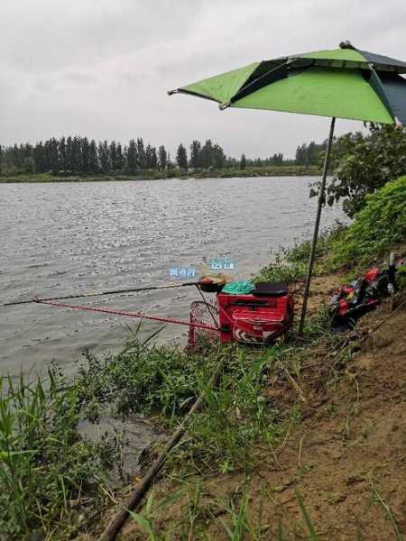 沭河钓鱼怎么样，沭河水库-第1张图片-平阳县乌魄百货商行