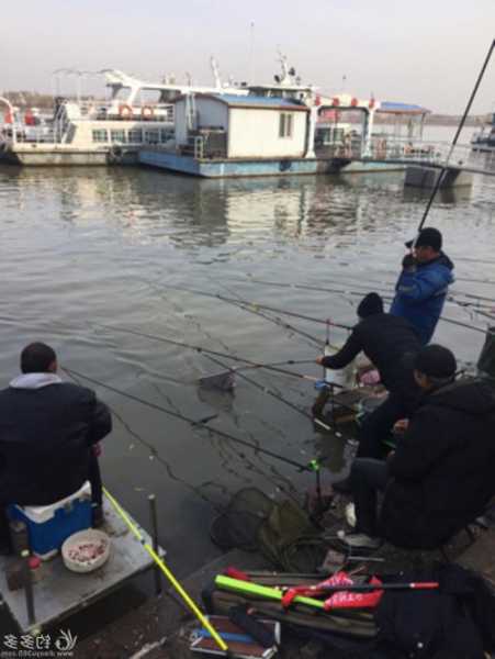 大河初冬钓鱼怎么样？冬季大河钓鱼饵料？-第3张图片-平阳县乌魄百货商行