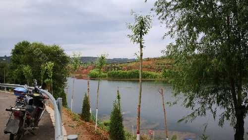 田家免费钓鱼怎么样，田家寨水库-第2张图片-平阳县乌魄百货商行