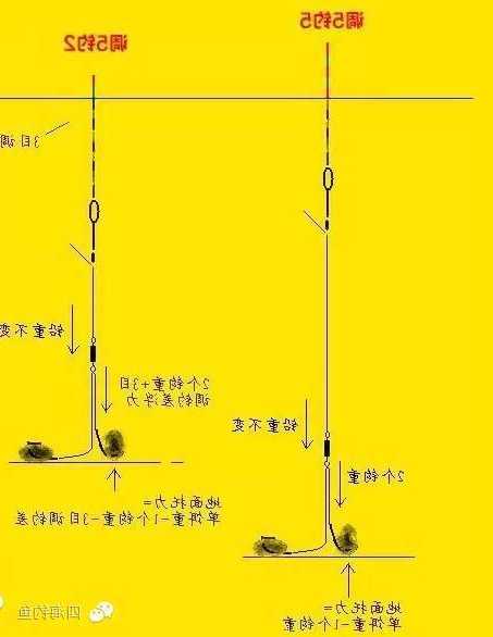 钓鱼免调漂怎么样，免调钓鱼浮漂？-第3张图片-平阳县乌魄百货商行