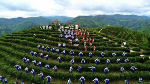 平利野炊钓鱼怎么样，平利周边自驾一日游！-第1张图片-平阳县乌魄百货商行