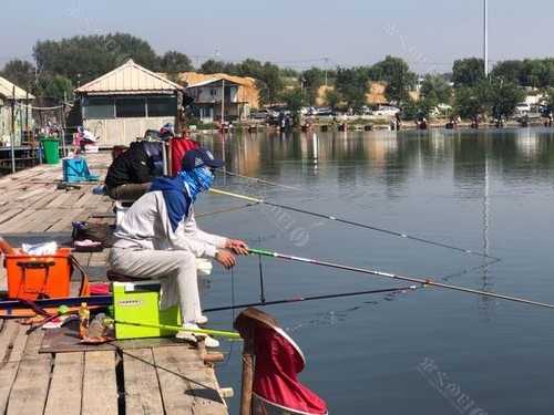 北湖钓鱼质量怎么样，北湖钓鱼质量怎么样啊-第1张图片-平阳县乌魄百货商行