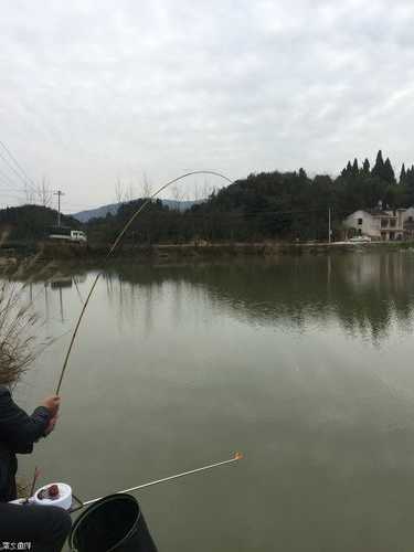 青田冬天钓鱼怎么样，冬天水库钓青鱼钓多深！-第3张图片-平阳县乌魄百货商行