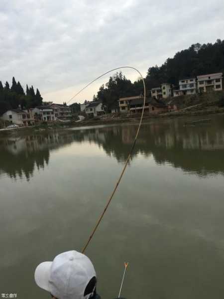 青田冬天钓鱼怎么样，冬天水库钓青鱼钓多深！-第1张图片-平阳县乌魄百货商行