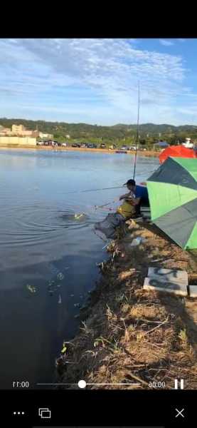 大足夏天钓鱼怎么样，大足钓鱼天气气压-第3张图片-平阳县乌魄百货商行