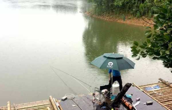 雨前钓鱼口怎么样，雨前钓鱼口怎么样好钓吗？-第2张图片-平阳县乌魄百货商行