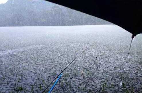 雨前钓鱼口怎么样，雨前钓鱼口怎么样好钓吗？-第3张图片-平阳县乌魄百货商行