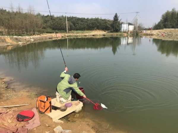 台风后钓鱼怎么样，台风后钓鱼好吗！-第3张图片-平阳县乌魄百货商行