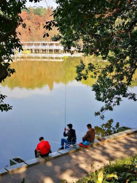 麓湖钓鱼怎么样，麓湖景区-第1张图片-平阳县乌魄百货商行