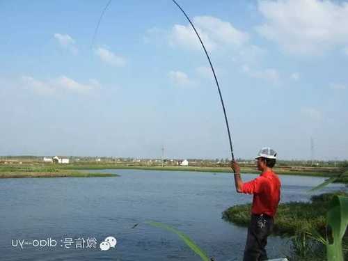 刮风天气钓鱼怎么样？刮风天气钓鱼怎么样好钓吗？-第3张图片-平阳县乌魄百货商行