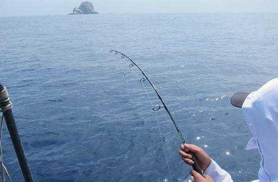 风浪大钓鱼怎么样，风浪大有鱼钓吗-第2张图片-平阳县乌魄百货商行