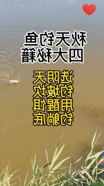 秋天怎么样才能钓鱼？秋天怎么钓鱼用什么饵料？-第1张图片-平阳县乌魄百货商行