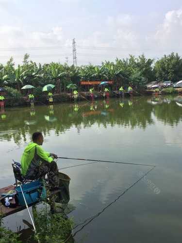 惠州在家钓鱼怎么样，惠州哪里可以钓鱼农家乐！-第2张图片-平阳县乌魄百货商行