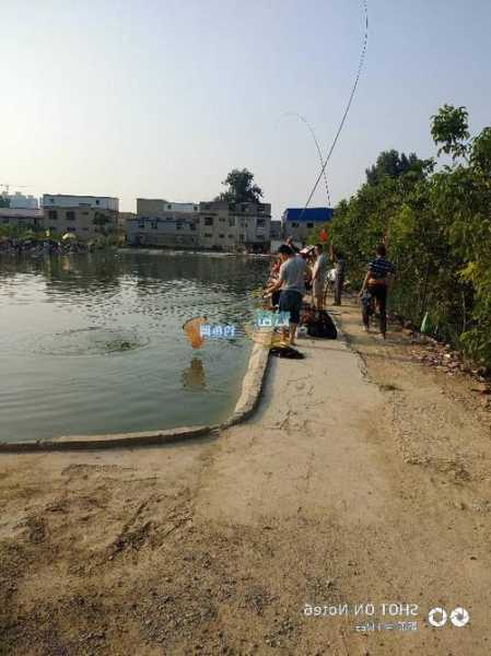 安阳钓鱼现状怎么样，安阳论坛安阳钓鱼？-第1张图片-平阳县乌魄百货商行