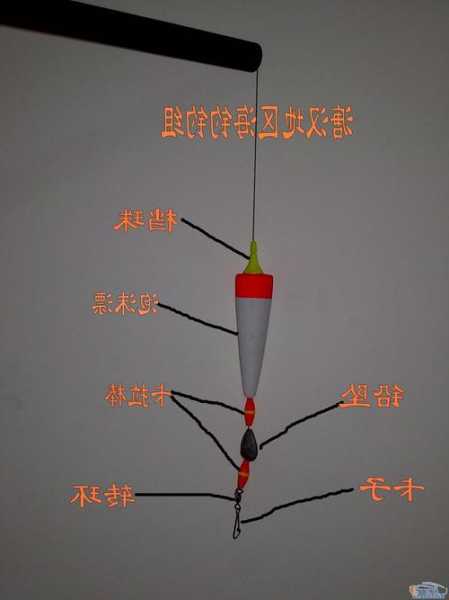 钓鱼怎么样看水深，钓鱼怎么样看水深不深-第2张图片-平阳县乌魄百货商行