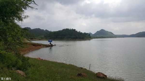 汤河钓鱼怎么样，汤河水库 钓鱼-第3张图片-平阳县乌魄百货商行