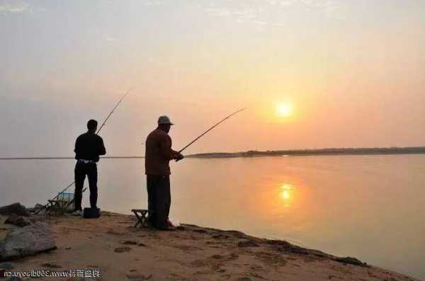 沙滩浅水钓鱼怎么样，沙滩钓鱼什么潮水合适-第2张图片-平阳县乌魄百货商行