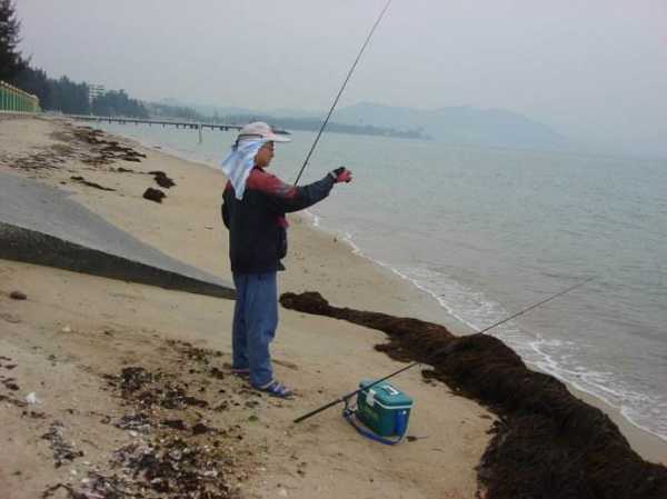 沙滩浅水钓鱼怎么样，沙滩钓鱼什么潮水合适-第1张图片-平阳县乌魄百货商行