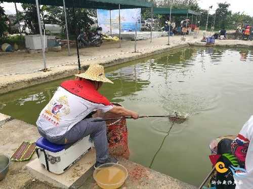 武鸣河里钓鱼怎么样？武鸣 钓鱼？-第3张图片-平阳县乌魄百货商行