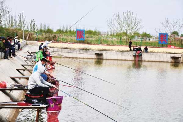 洋湖钓鱼怎么样，洋湖水库怎么样？-第1张图片-平阳县乌魄百货商行