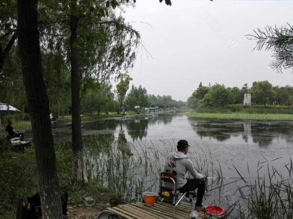 洋湖钓鱼怎么样，洋湖水库怎么样？-第2张图片-平阳县乌魄百货商行