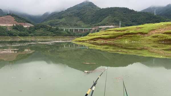 白龙湖钓鱼怎么样，2021年白龙湖可以钓鱼吗-第2张图片-平阳县乌魄百货商行