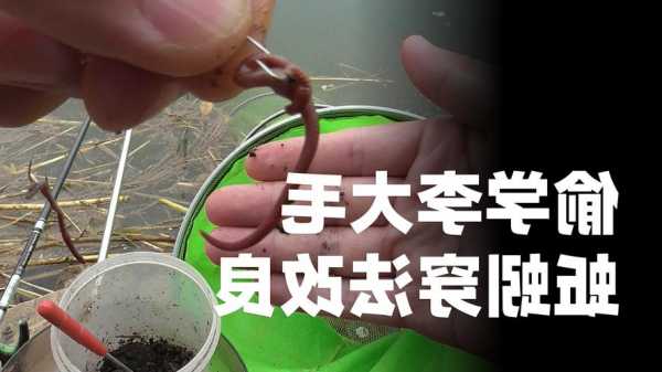 钓鱼怎么样挖蚯蚓？挖蚯蚓技巧？-第2张图片-平阳县乌魄百货商行