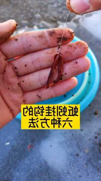 钓鱼怎么样挖蚯蚓？挖蚯蚓技巧？-第3张图片-平阳县乌魄百货商行