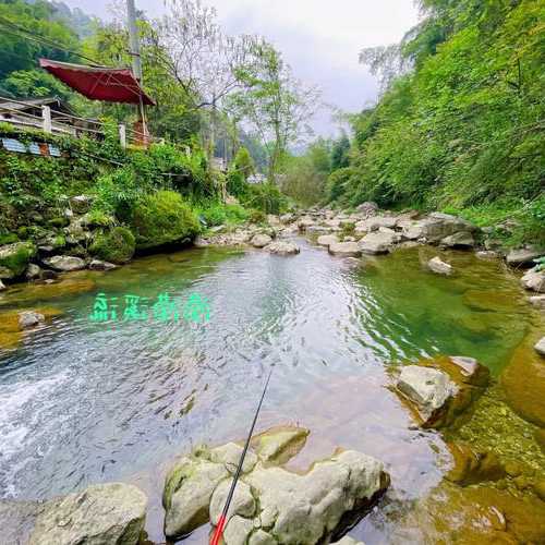 主城溪流钓鱼怎么样，溪流野钓！-第3张图片-平阳县乌魄百货商行