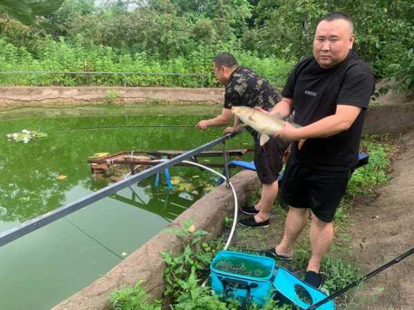 临风田园钓鱼怎么样，临风田园钓鱼怎么样啊！-第1张图片-平阳县乌魄百货商行