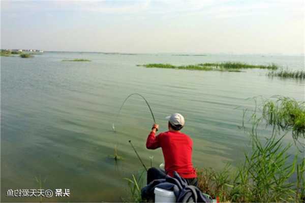 浑水水库钓鱼怎么样，浑水水库钓鱼怎么样好钓吗！-第2张图片-平阳县乌魄百货商行