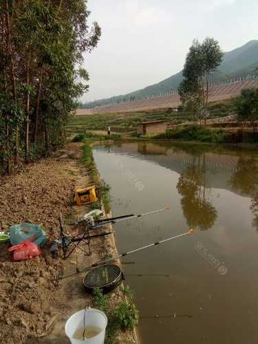 欢天喜地钓鱼怎么样了？欢天喜地在哪？-第2张图片-平阳县乌魄百货商行