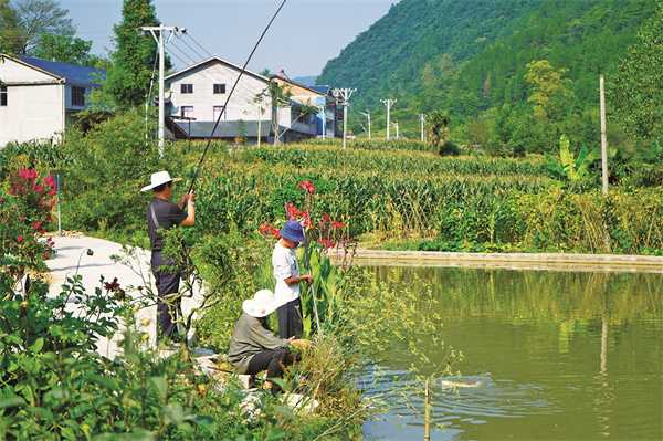 高峰鱼塘钓鱼怎么样，高峰鱼塘钓鱼怎么样视频！-第3张图片-平阳县乌魄百货商行