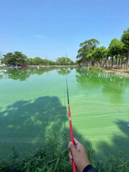 钓鱼进医院怎么样，钓鱼去钓鱼？-第2张图片-平阳县乌魄百货商行