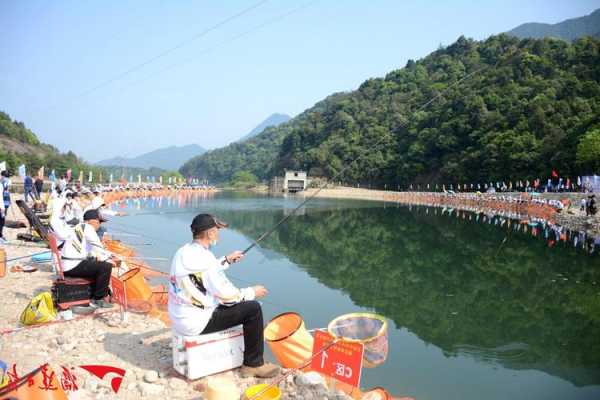 桃林钓鱼怎么样，桃林漂流地址？-第2张图片-平阳县乌魄百货商行