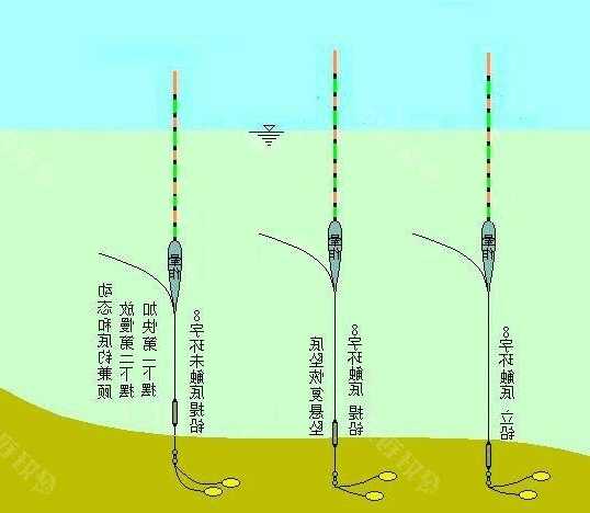 钓鱼怎么样上鱼，怎样钓鱼容易上钓法！-第2张图片-平阳县乌魄百货商行