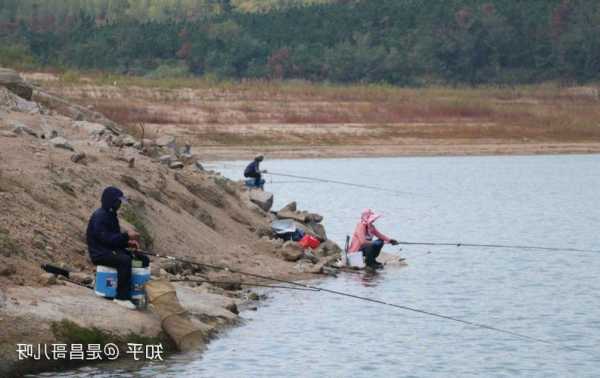 昌哥钓鱼怎么样，昌哥钓鱼怎么样知乎-第1张图片-平阳县乌魄百货商行