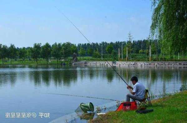 初夏南风钓鱼怎么样，初夏南风好钓鱼吗！-第2张图片-平阳县乌魄百货商行