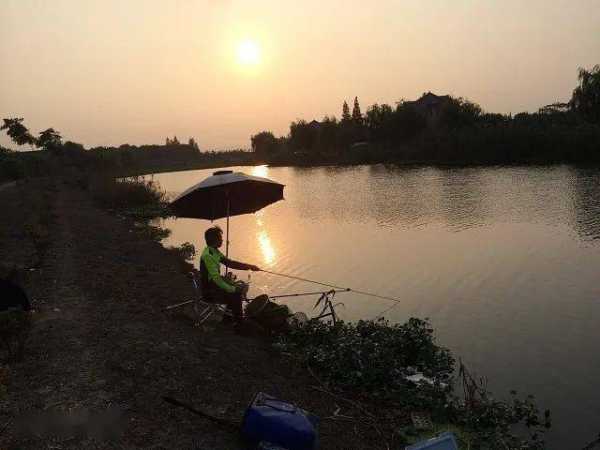 初夏南风钓鱼怎么样，初夏南风好钓鱼吗！-第1张图片-平阳县乌魄百货商行