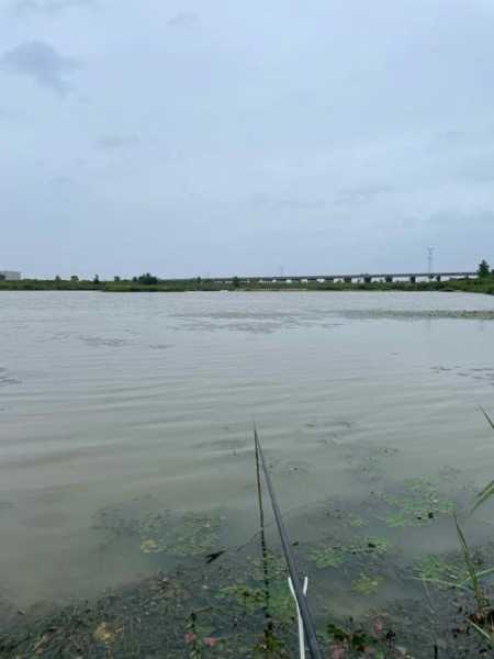 秋季雨前钓鱼怎么样？秋季下雨前垂钓好还是雨后垂钓好？-第1张图片-平阳县乌魄百货商行