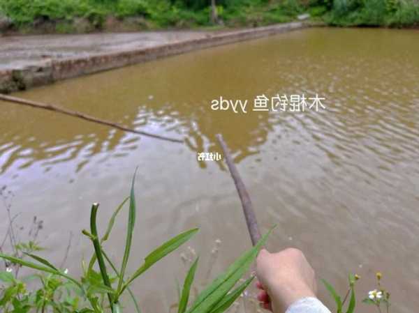 菜鸟爱钓鱼怎么样，菜鸟钓鱼愿者上钩？-第1张图片-平阳县乌魄百货商行