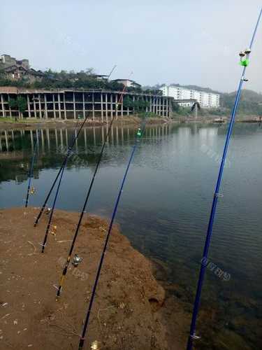 临河院子钓鱼怎么样？临河水库？-第3张图片-平阳县乌魄百货商行