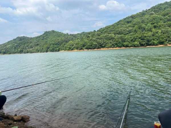 大河岔口钓鱼怎么样，河岔口村！-第2张图片-平阳县乌魄百货商行